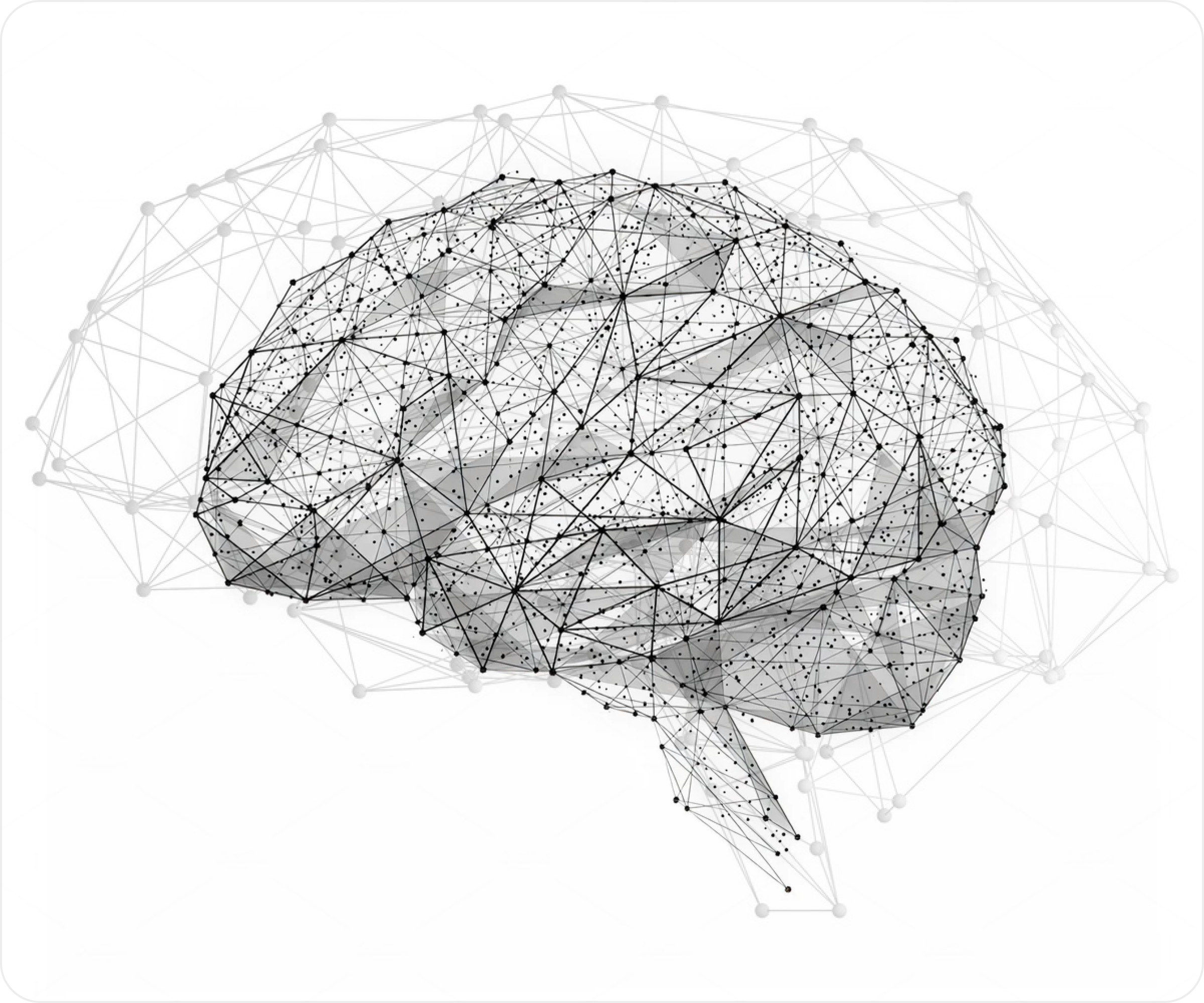 Brain network showing interconnected expertise